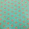 Jersey Etoiles Turquoise/Corail